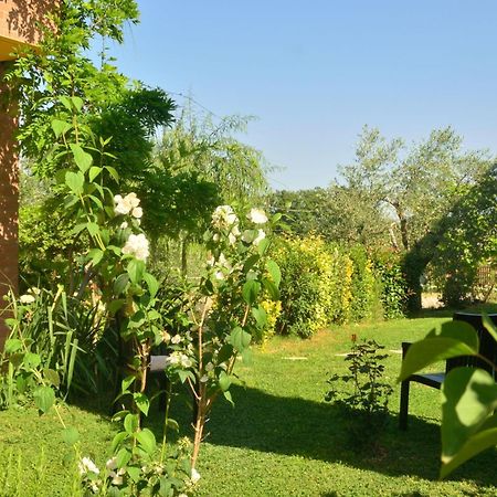 Fattoria Antonella Villa San Gimignano Ngoại thất bức ảnh